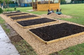 NEW VEGETABLE GARDEN